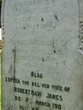 image of grave number 205720